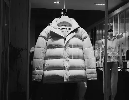 Blouson